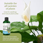 Professional Peace Lily Fertilizer Liquid 3-1-2 Concentrate 8 oz, Premium Peace Lily Plant Food, Liquid Fertilizer for Peace Lily Indoor Plants and Flowers Made in USA
