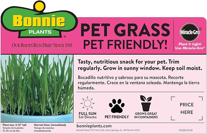 Bonnie Plants Pet Friendly Garden Plants (4-Pack), Live Plants, Cat & Dog Friendly Herbs, Catnip, Pet Grass, Sweet Mint & Oregano