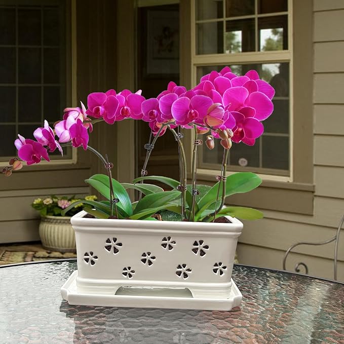 Rectangle Ceramic Orchid Pot with Holes and Saucer 12Inch Ceramic Large Pot Basin for Refilling Indoor and Outdoor Use Air Circulation Orchid Planter for Repotting Planter White