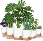 GARDIFE Plant Pots 8/7/6.5/6/5.5/5 Inch Self Watering Planters with Drainage Hole, Plastic Flower Pots, Nursery Planting Pot for All House Plants, African Violet, Flowers, and Cactus,White