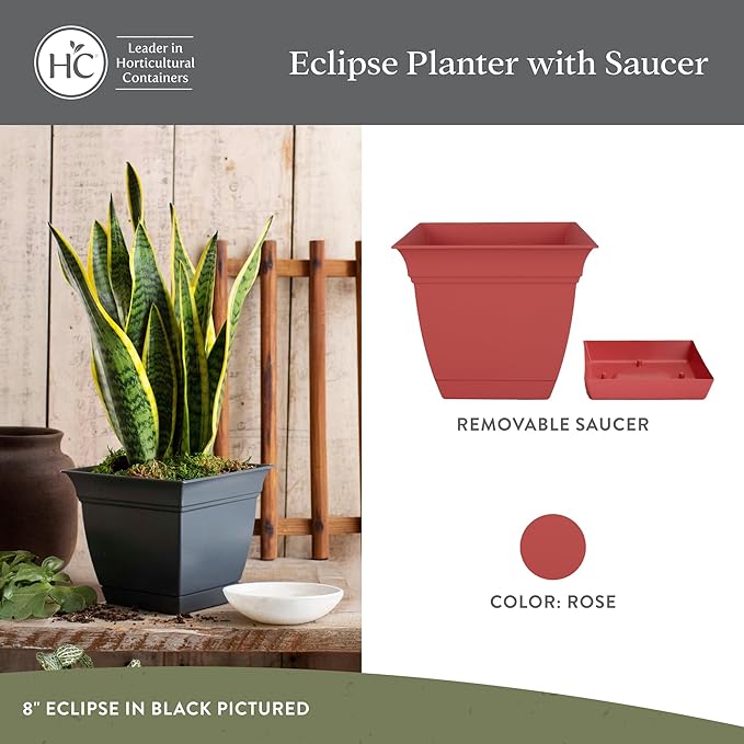 The HC Companies 6 Inch Eclipse Square Planter Pots with Drainage Holes & Attached Saucer, Lightweight UV-Resistant Plastic Indoor Outdoor Planters, 4-Pack Flower Pots for Garden & Home Decor, Rose