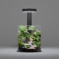 LANDEN Miniature Terrarium Glass Jar Kit – Complete DIY Mini Landscape Set with Ultra-Clear Glass Container, LED Light, Decorative Stones & Planting Tools – Ideal for Home Decor, Gifts & Hobbyists