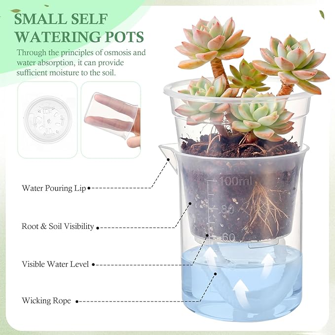 30 Pcak 2.2'' Small Self Watering Pots for Indoor Plants Mini Clear Pots with Water Level Indicator Plastic Automatic-Watering Pot with Drainage Holes for Semi-hydroponic African Violet
