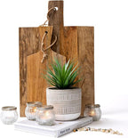 Kurrajong Farmhouse Artificial Plant | 8" Fake Plant for Desk Decor | Artificial Succulent in Pot | Fake Succulent | Faux Plant Indoor | Artificial Greenery for Shelf Decor