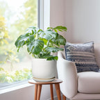 Ceramic Plant Pot - Modern 8 Inch Round Planter for Indoor Outdoor Plants with Drainage Hole and Saucer, Home House Room Office Decor, White
