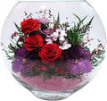 Fiora Flower | Long Lasting Real Roses in a Sealed Vase | Lasts up to 5 Years | Unique Present Gift (Enigma)