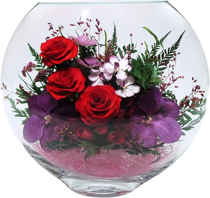 Fiora Flower | Long Lasting Real Roses in a Sealed Vase | Lasts up to 5 Years | Unique Present Gift (Enigma)
