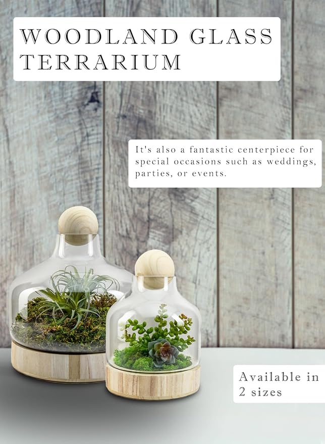 Serene Spaces Living Small Woodland Glass Terrarium - Wooden Base & Ball Stopper, Plants and Succulents Sanctuary, Potpourri Holder & Decorative Showcase for Home Décor, 7" Diameter & 10" Tall