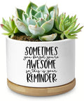 Cute Succulent Planter, Flower Cactus Plant Pot Gifts, Thank You Inspirational Gifts for Women Men Coworkers Teachers Plant Lovers, Office Home Windowsill Indoor Decor (No Plants)