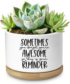 Cute Succulent Planter, Flower Cactus Plant Pot Gifts, Thank You Inspirational Gifts for Women Men Coworkers Teachers Plant Lovers, Office Home Windowsill Indoor Decor (No Plants)