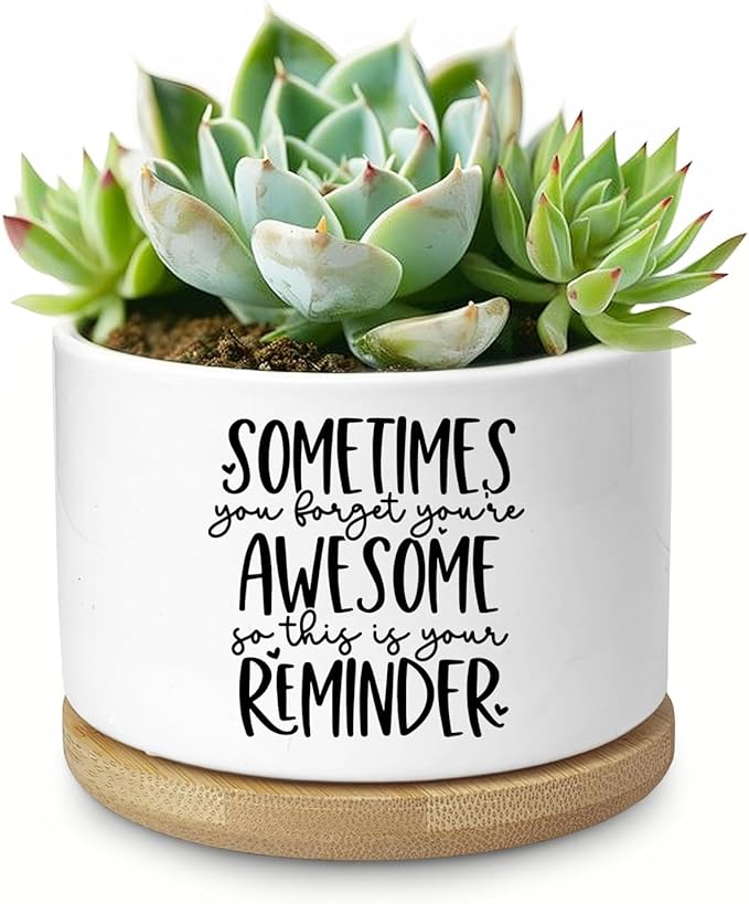Cute Succulent Planter, Flower Cactus Plant Pot Gifts, Thank You Inspirational Gifts for Women Men Coworkers Teachers Plant Lovers, Office Home Windowsill Indoor Decor (No Plants)