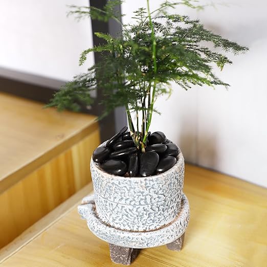 3/4-1 5/8 Inch Black River Pebbles for Vases Pebbles for Indoor Plants Gravel Rocks for Crafts River Rocks 20LB Pebbles Decorative Stones for Plants Outdoor