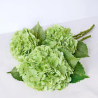 ZYTUYO 3 PCS Dark Green Hydrangea Real Touch Artificial Flowers 21'' Latex Large Hydrangea with Long Stems for Wedding Table Centerpieces Indoor Kitchen Spring Home Decor Outdoor Porch