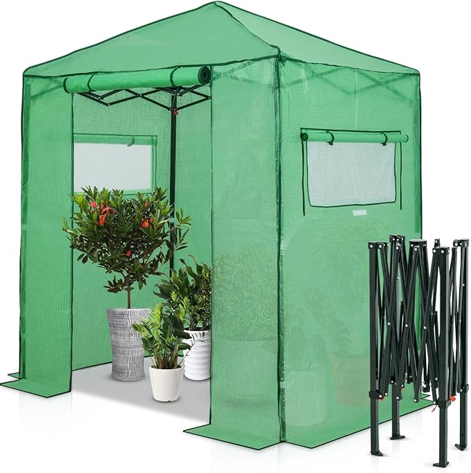 EAGLE PEAK 6x4 Portable Walk in Greenhouse, Pop Up Indoor Outdoor Greenhouse, Green House Kit with Zippered Roll-Up Doors and Windows, PE Cover, Clear/Green