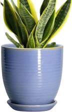 6 Inch Ceramic Pots for Plants - Ceramic Plant Pots with Drainage Hole and Saucer, Flower Pot for Indoor Plants, Round Modern Planter, Apartment Decor, Housewarming Gifts, Blue-Purple