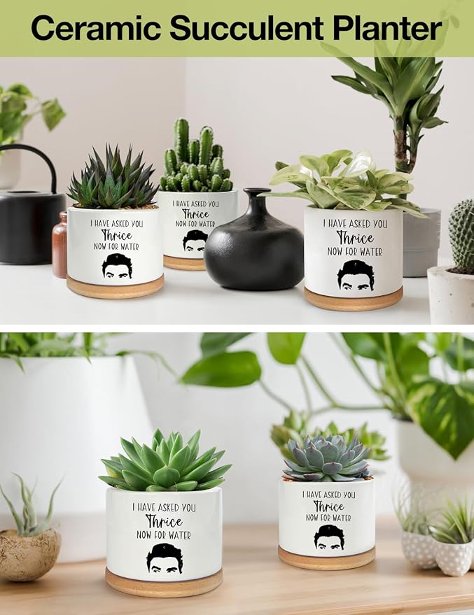 I Have Asked You Thrice Now for Water Ceramic Succulent Planter Pot, Funny Plants Pots Schitts Merchandise Gifts, for Women Mom Grandma Plant Lovers Gifts - 3.5 inch(Plant Not Included)