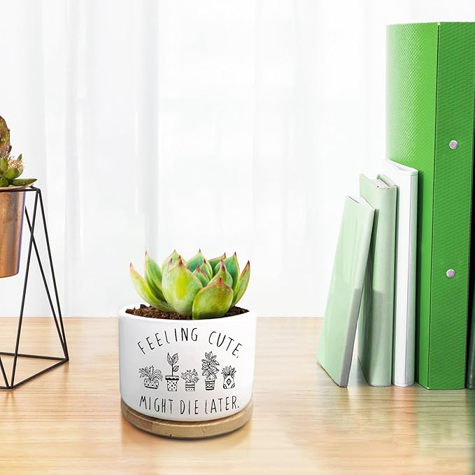 Funny Succulent Plant Pot, Small Flower Planter for Indoor Plants, Cute Ceramic Cactus Planter Pots with Drainage, Windowsill Desk Decor Unique Planter Gift, Feeling Cute (No Plants)
