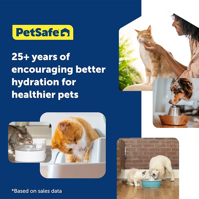 PetSafe Oasys 2 Gallon Pet Fountain for Dogs or Multiple Pets, Automatic Water Bowl Dispenser - Pump and Filter Included - Dishwasher Safe, Easy Clean Pet Dish - 2 Gallon/256 Oz