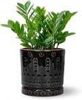 8 Inch Pots for Plants, Ceramic Plant Pot for Indoor Outdoor, Round Planter with Drainage Hole and Tray, Modern Flower Pot, Decorative Plant Pots, Room Decor, House Warming Gifts, Black