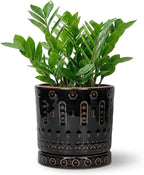 8 Inch Pots for Plants, Ceramic Plant Pot for Indoor Outdoor, Round Planter with Drainage Hole and Tray, Modern Flower Pot, Decorative Plant Pots, Room Decor, House Warming Gifts, Black