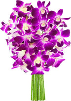 KaBloom - 10 Purple Orchid without vase - Fresh Flowers for Birthday, Valentine's & Mother's Day