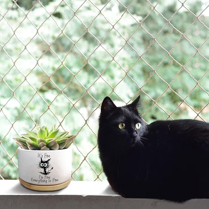 Funny Cat Plant Pot for Succulent, Cactus Flower Planter for Indoor Plants, Cute Succulents Pots with Inspirational Quote, Windowsill Decor Planter Gift for Cats Owner Cat Lover (No Plants)