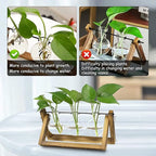 Kingbuy Desktop Glass Planter Iron and Wooden Stand Plant Terrariums for Indoor Office Desk Decor Accessories, 3 Bulb Vases, Brown