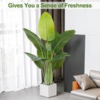 Lifelike Bird of Paradise Artificial Plant,4ft Faux Banana Leaf Tree with 9 Trunks - Perfect Indoor Silk Floor Plant for Home Decor in Living Room, Office, and Bedroom (Set of 2)