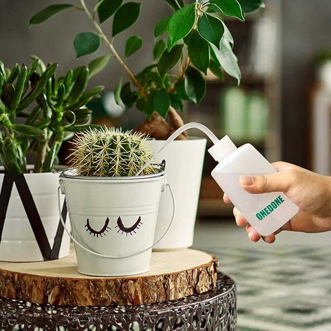 ONEDONE Watering Can Indoor Plants - Plant Watering Can 34 OZ, Long Spout Small Watering Can for House Plants Garden Potted Flowers with Spray Bottle, Squeeze Bottle Green