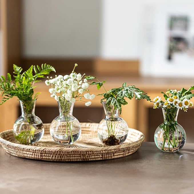 Plastic Propagation Vases (2 Bulbs),Desktop Plant Terrarium for Indoor Plants - Hydroponics Containers for Home Office Desk Decor, mini Gardening Gifts for Women Who Love Plants (2PCS)