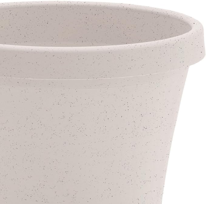 Bloem Terra 4" Diameter Round Vanilla Bean Resin Planter Pot with Pre-Drilled Drainage Holes for Indoor and Outdoor Gardening