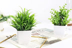 Der Rose 2 Pack Small Fake Plants Mini Artificial Potted Plants for Table Desk Home Bathroom Office Decor