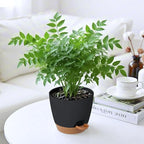 6-Pack Plant Pots with Drainage 5 Inch, Self Watering Pots for Indoor Plants, Planters for Indoor Outdoor Plants, Plastic Flower Pot, Planter for Indoor Outdoor (Black)