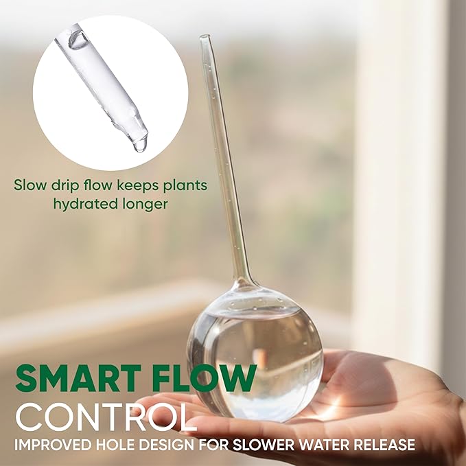 Clear Plant Watering Globes Set of 6 - Small Self Watering Globes for Indoor & Outdoor Plants - Automatic, Glass Watering Bulbs for Daily Use, Plant Watering Devices