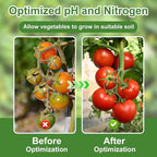2-in-1 pH & Nitrogen Soil Test Kit, Home Soil Testing Kit Separately Sealed in Foils, Soil pH Nitrogen Test Strips for Garden Lawn Grass Flower Vegetable Nutrient, Quick & Easy-to-Use