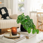 DILATATA Fake Plants Indoor 8 Inch Artificial Monstera Plant in Black Ceramic Pot - Faux Potted Tropical Palm Plant for Home Aesthetic Decor Living Room Shelf Office