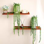 6pcs Artificial Succulents Hanging Plants, Fake Hanging Plant String of Pearls Plant, Faux Greenery Plants Draping Greenery Stems for Spring Indoor, Outdoor, Wall, Home, Backdrop, Garden