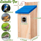 Dreyoo 2 Pack Bluebird Box Houses for Outside,1-1/2'' Entrance Hole Wooden Bird Houses with Metal Guard, Secure Latch,Fledgling Grooves,Air Vents for Bluebird Wren Swallow(Blue Roof, Wood Body)