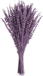 Uieke Dried Lavender Flowers Bundles, 16" Dried Purple Preserved Lavender Bouquet for Shower Weeding Home Fragrance Vase Crafts Decor, 50g (1.76oz)