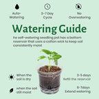 Bluepro 20 Pack 5 Inch Clear Self Watering Plant Pots with Bottom Water Tray & Watering Rope, Transparent Nursery Pots with Drainage for Seedlings, Herbs, and Houseplants