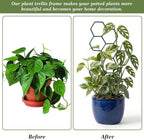 Small Trellis for Potted Plants, 14 Inch Indoor Trellis for Climbing Plants Honeycomb Shape Metal Plant Trellis for Pots Plant Climbing Support for Flower Hoya Pothos Houseplants(Green)