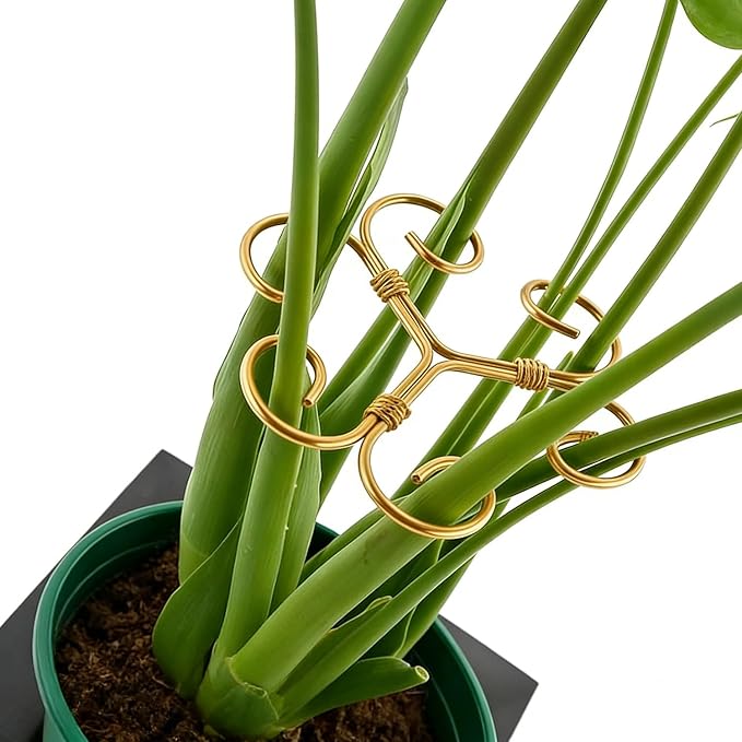 YAPROMO 4PCS Iron Monstera Plant Support - 4.1IN Plant Support Stakes for Indoor Plants, Plant Stakes and Supports, Ideal Plant stem Support for Turtle Shell Bamboo & Houseplants (A+B)