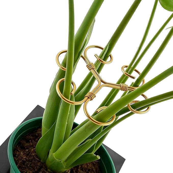 4PCS Iron Monstera Plant Support - 4.1IN Plant Support Stakes for Indoor Plants, Stable Plant Stakes and Supports, Ideal Plant stem Support for Turtle Shell Bamboo & Houseplants