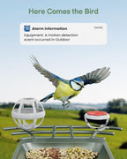 Smart Bird Feeder with Camera Outdoor: Solar Birdfeeder Cam for Outside Garden - 2K HD Live Video Camera AI Recognition Visible Window Auto Capture - Bird Lover Gifts