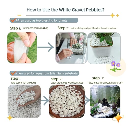 5 LB Natural White Gravel for Plants, Succulents & Cactus, Aquarium, Fish Tank, 0.6 inch Small White Pebbles for Vases, Rocks for Landscaping, Indoor Potted Plants, Garden and Home Decorative Stones