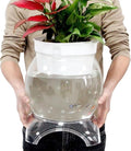 3 Gallon PET Aquaponic Betta Fish Tank Aquaponic with Base and Top, Large Bowl Shatterproof Aquarium Fish Tank with Clear Clarity for Terrarium, Flower Vase Centerpiece Present for Fish Lovers