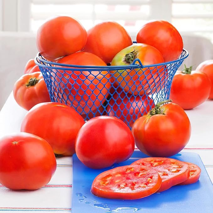 Bonnie Plants Celebrity Hybrid Tomato Live Vegetable Plants - 4 Pack, Disease-Resistant, 7 - 8 Oz. Fruit Size, 65 Day Harvest Time
