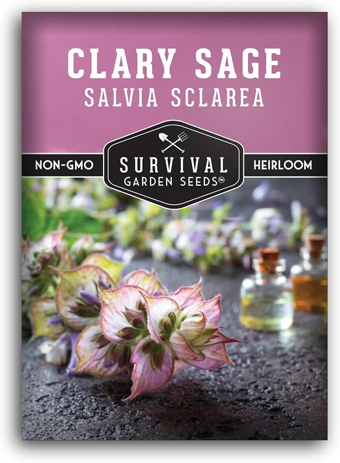 Clary Sage Seeds for Planting - Medicinal Herb for Aromatherapy & Pollinators, Fragrant Perennial Salvia Sclarea for Healing Gardens, Non-GMO Heirloom - Survival Garden Seeds (1 Pack)