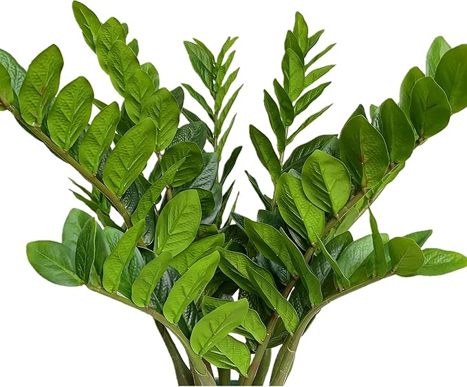 Pack of 10 - Artificial Plants Real Touch Faux ZZ Plant Stems Zamioculas Zamiifolia Tropical Greenery Houseplant for Home Office Aesthetic Decor Indoor and Outdoor (Green)