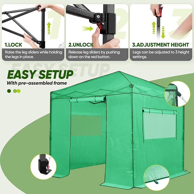 EAGLE PEAK 8x8 Portable Walk in Greenhouse, Pop Up Indoor Outdoor Greenhouse, Green House Kit with Zippered Roll-Up Doors and Windows, PE Cover, Clear/Green